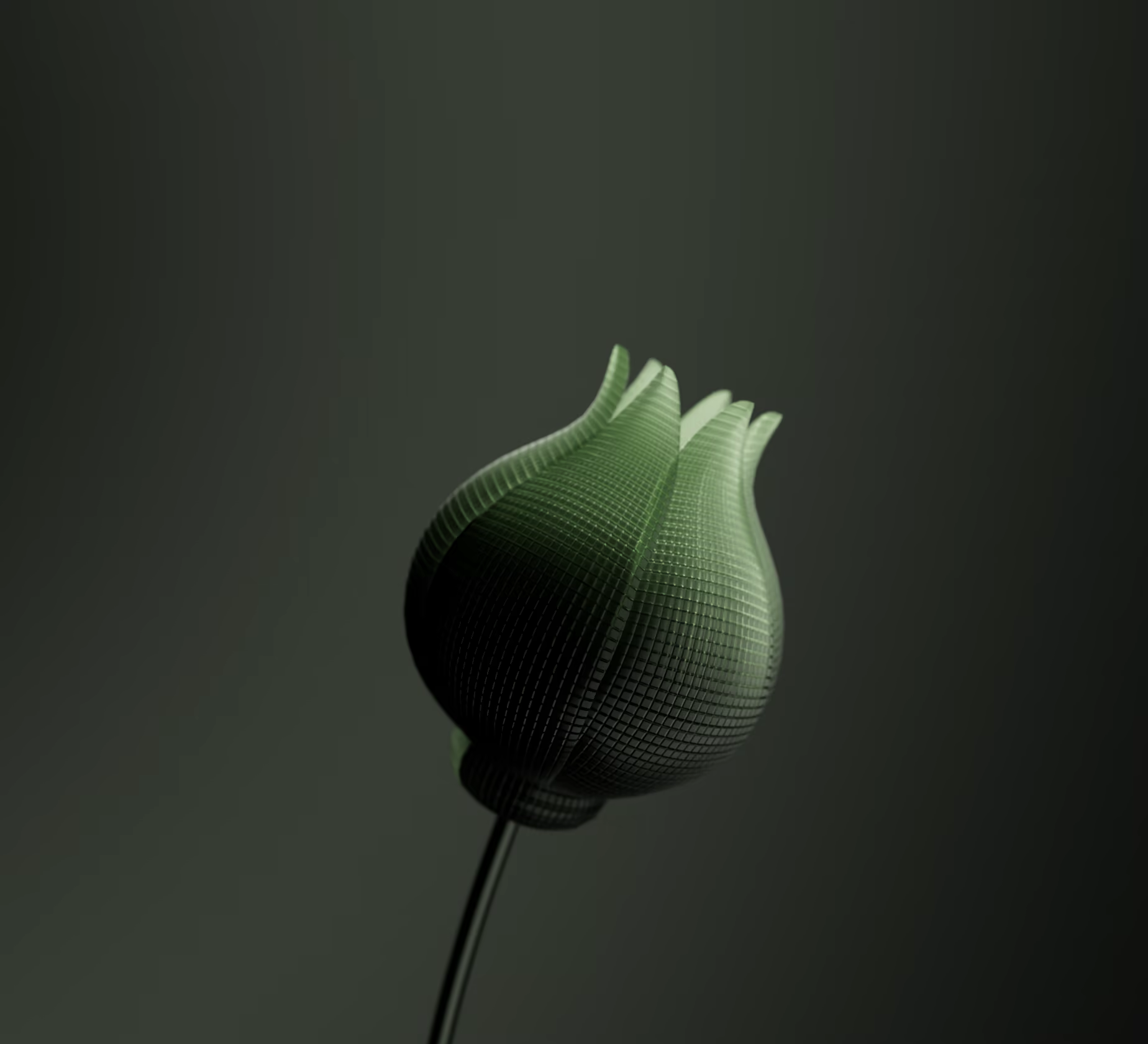 Audi Bloom