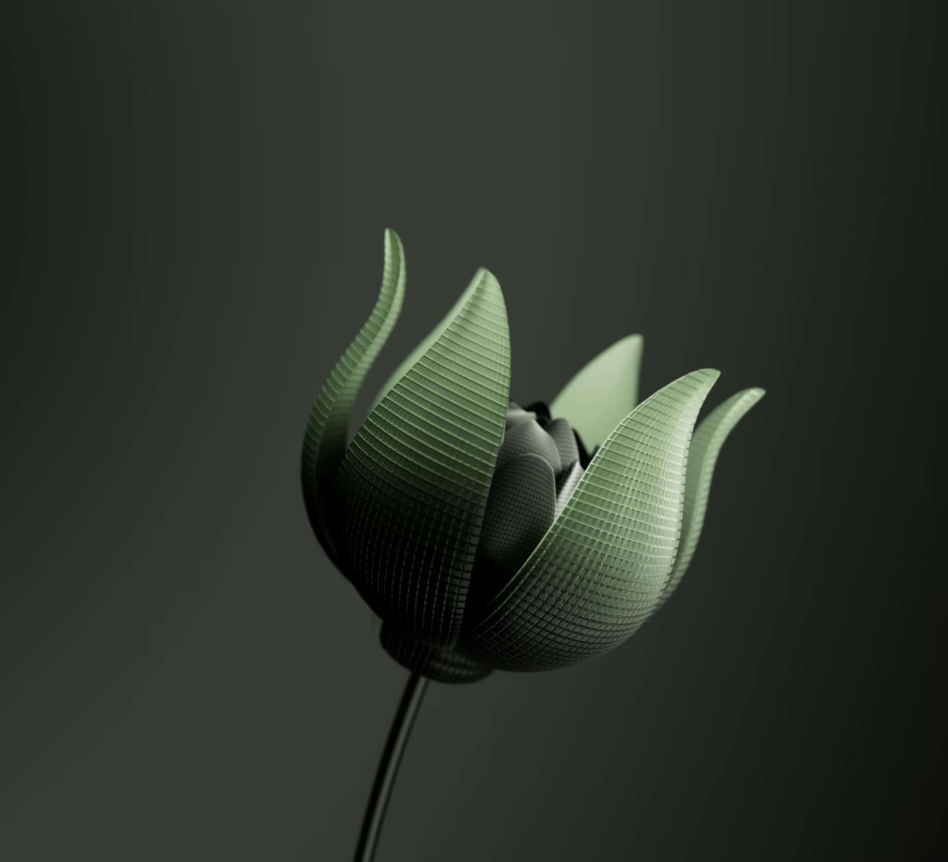 Audi Bloom, image 2