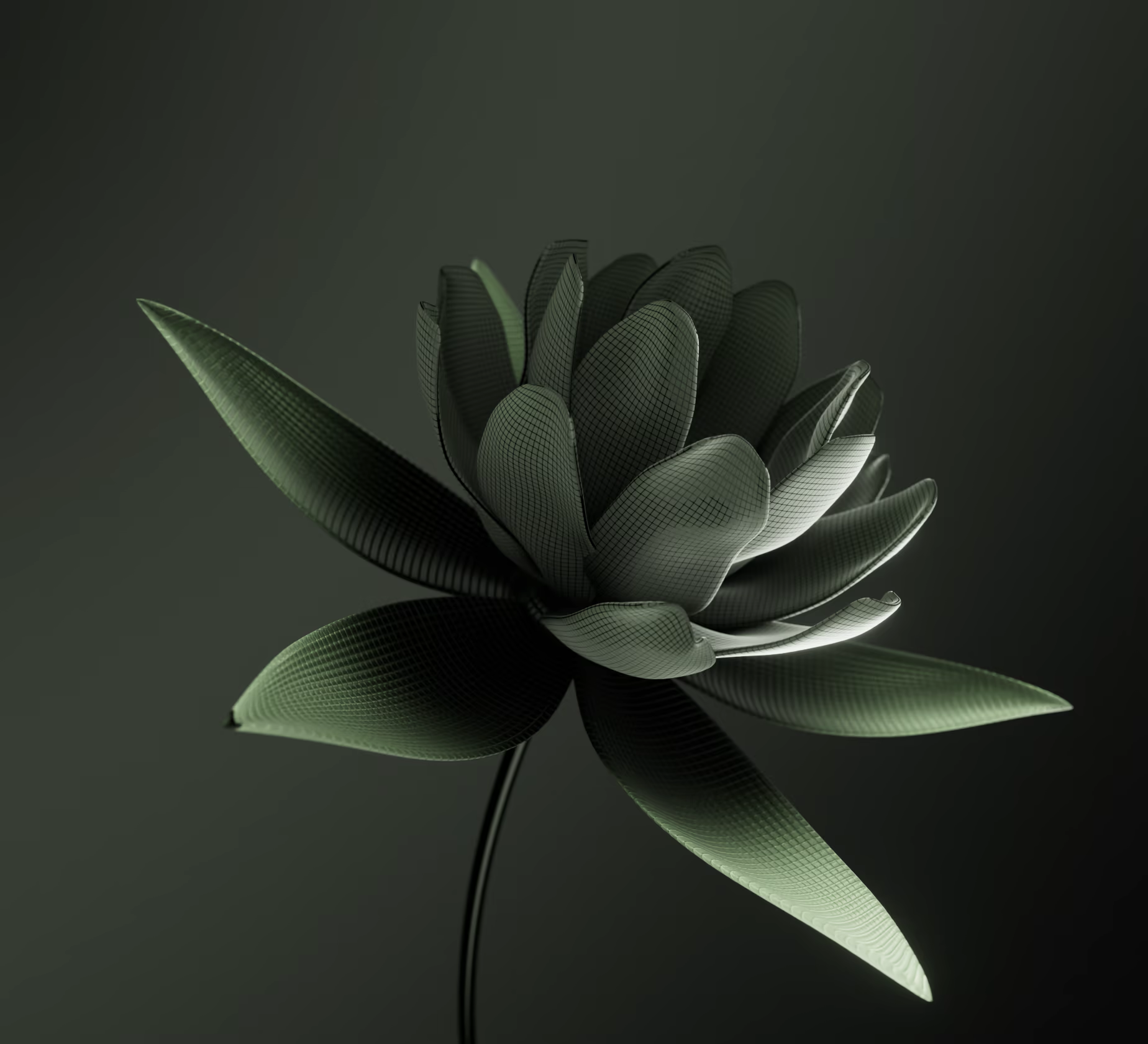 Audi Bloom, image 3