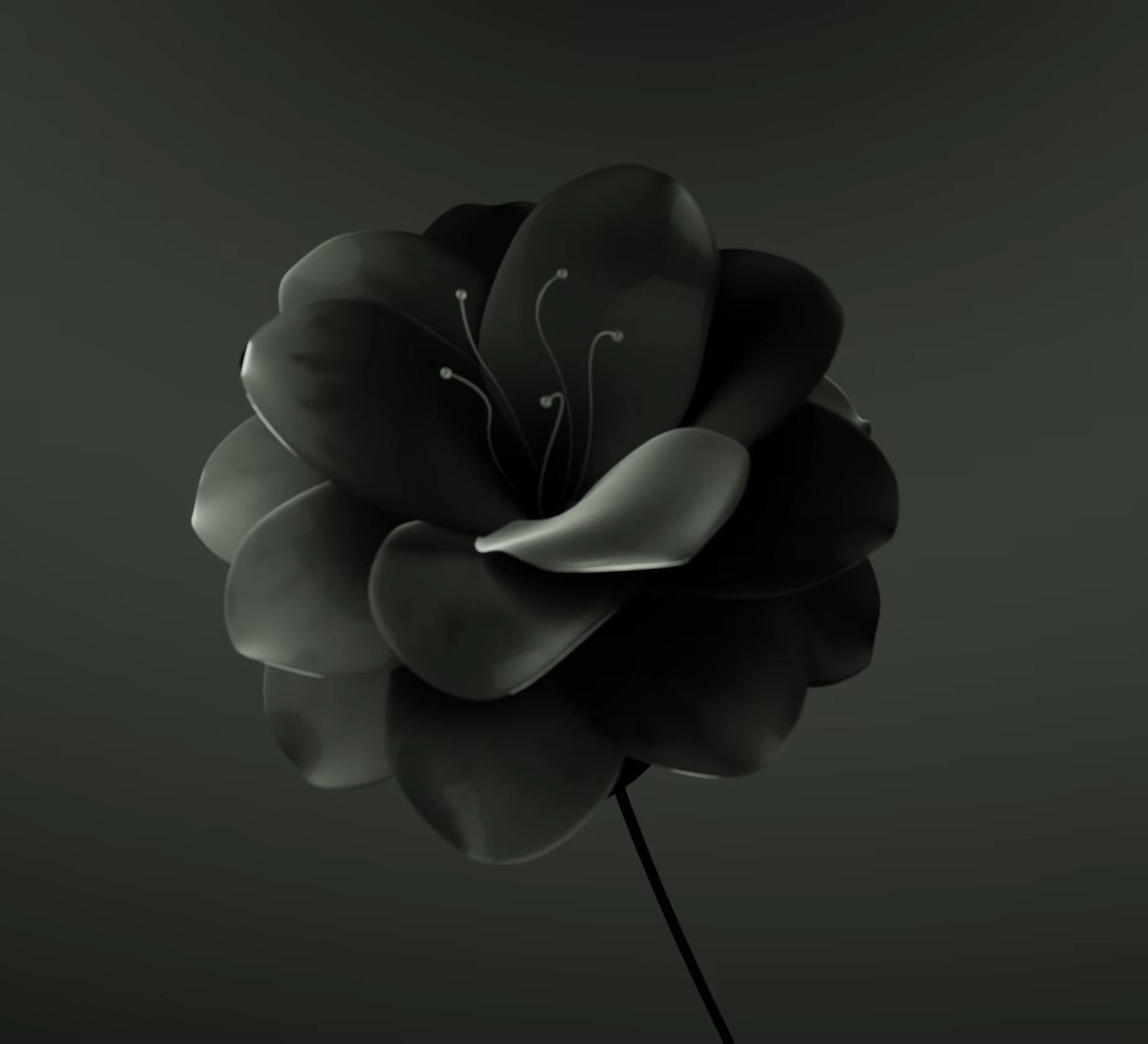 Audi Bloom, image 5