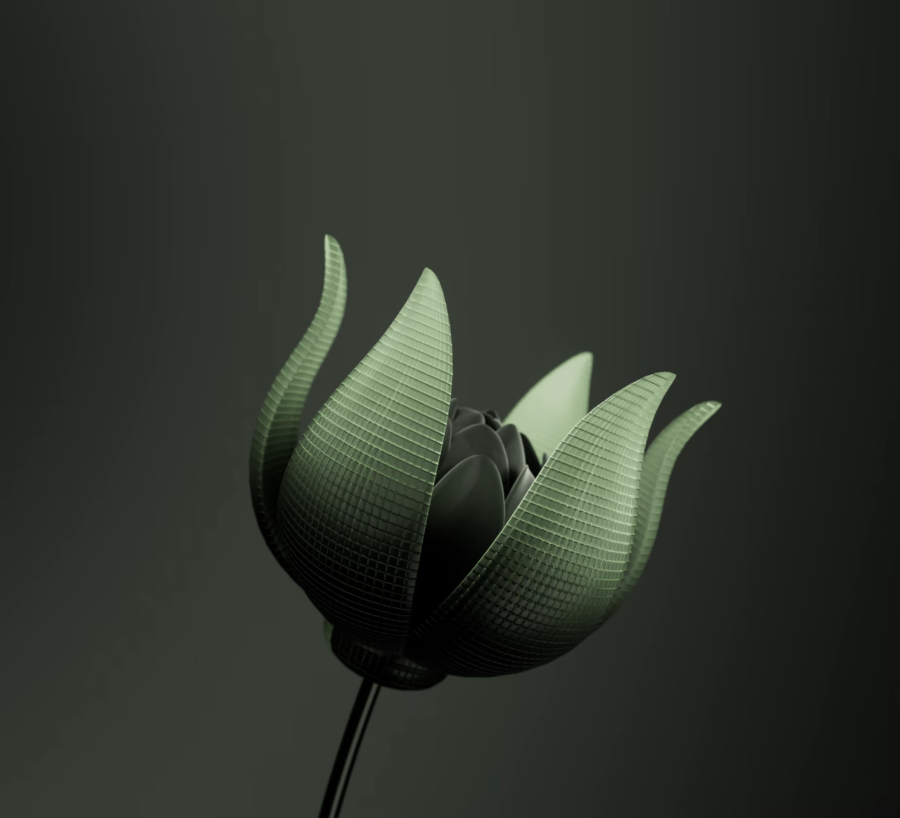 Audi Bloom, image 6
