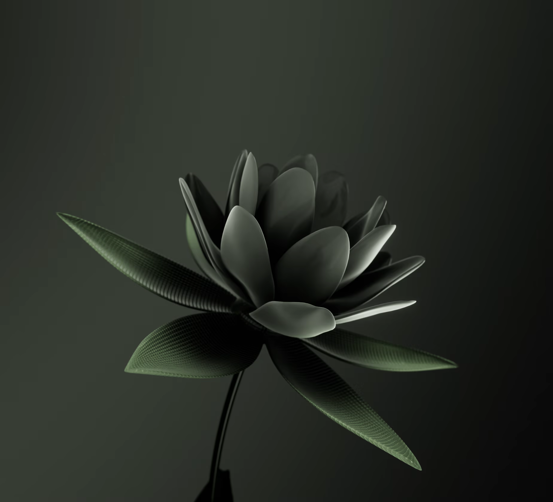 Audi Bloom, image 7